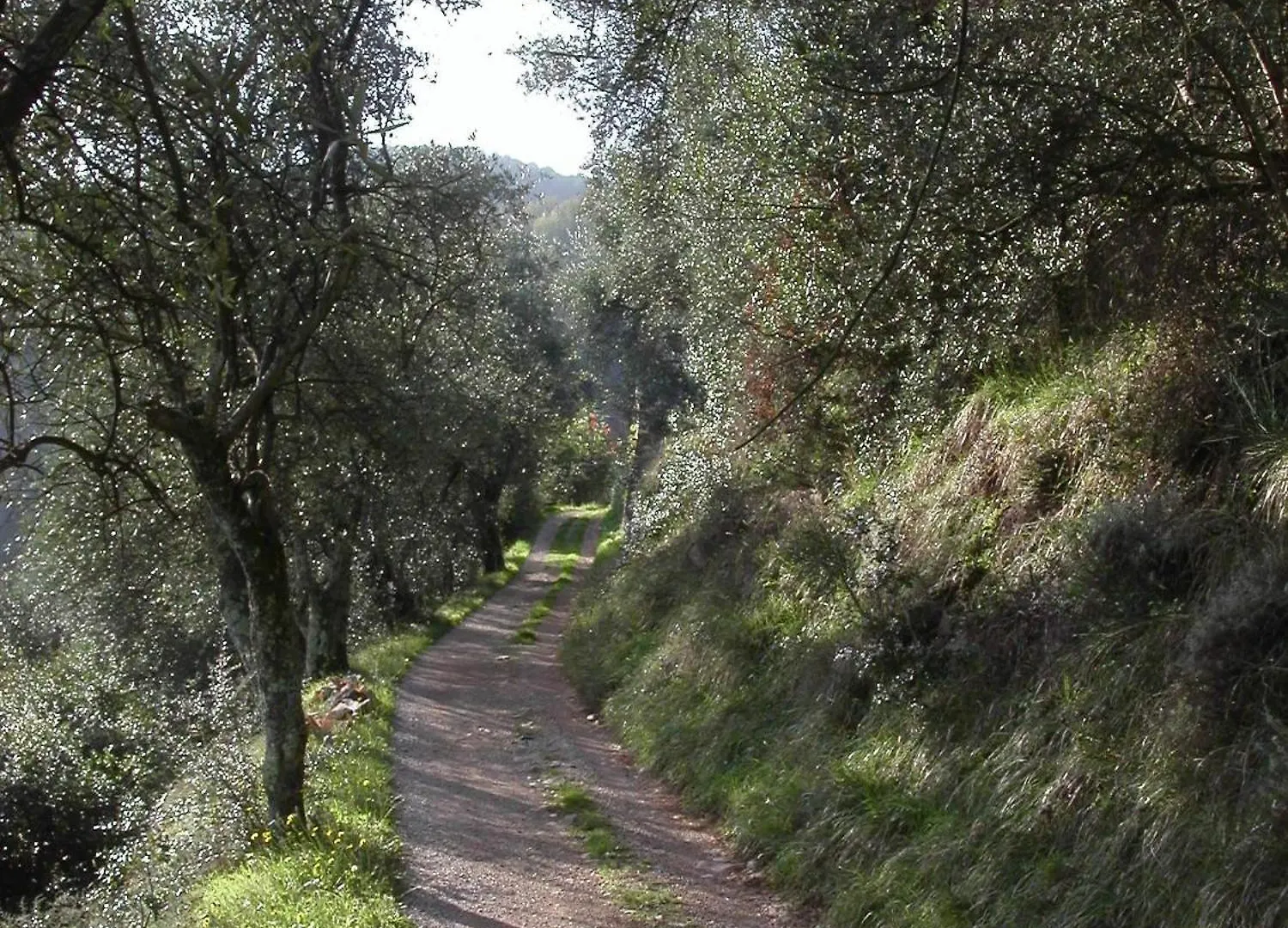 Villetta Farfallina 